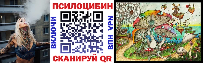 Купить  Малоархангельск  Галлюциногенные грибы Magic Shrooms 